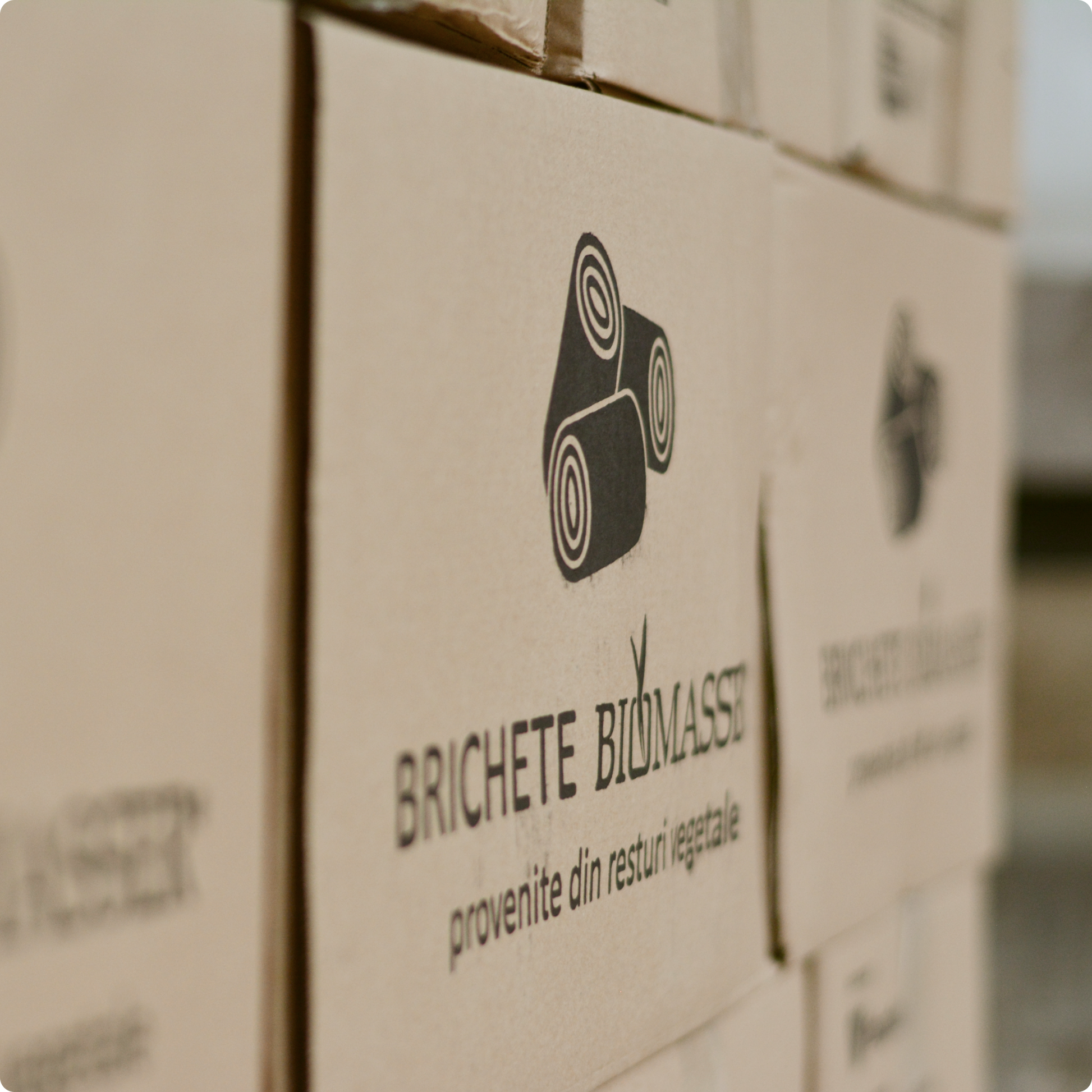 Brichete Bio BIOMASSER, Brichete paie, Cutii logo